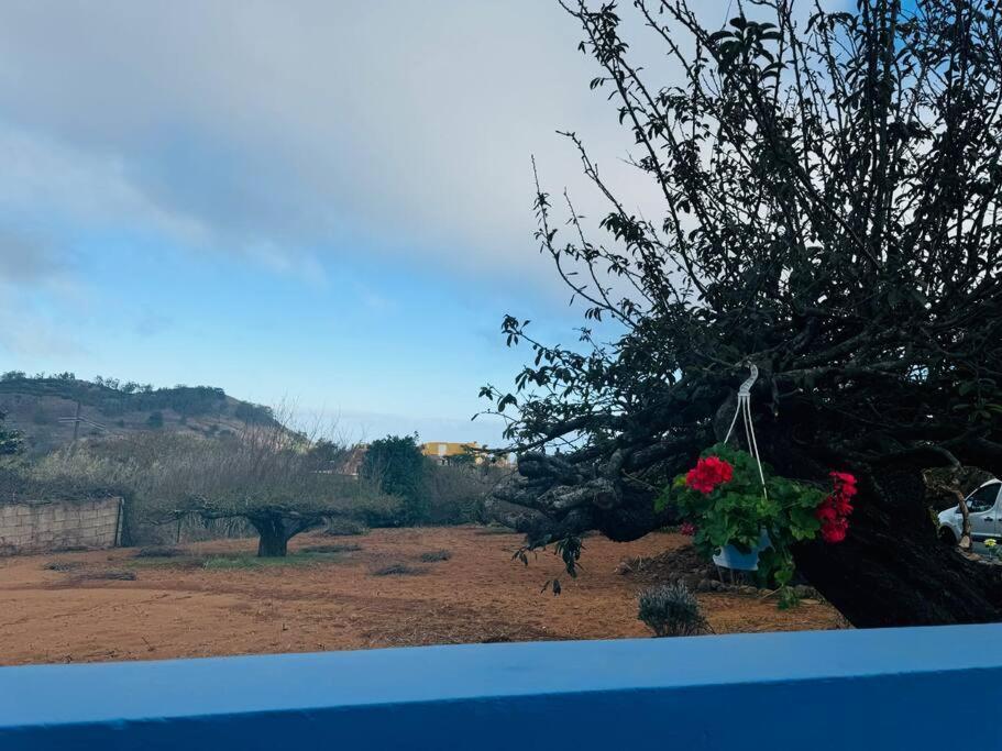 La Esperanza  La Casita De Rosiヴィラ エクステリア 写真